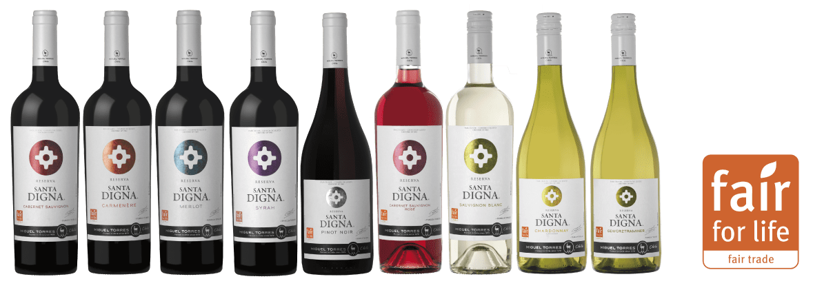 Vinos Santa digna